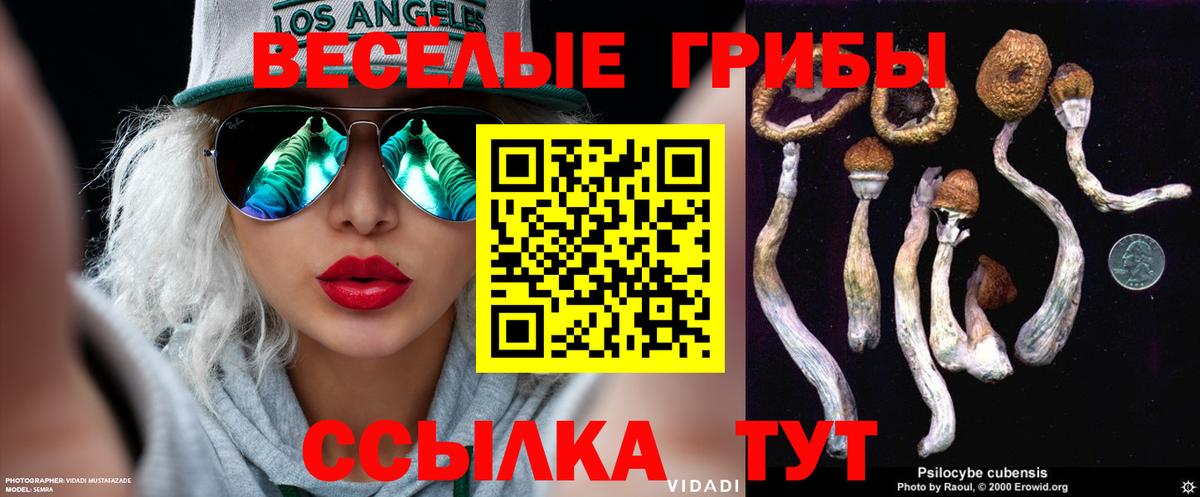 Чайковский  Галлюциногенные грибы ЛСД  Вход с VPN  магазин продажи наркотиков  Псилоцибиновые грибы мицелий 